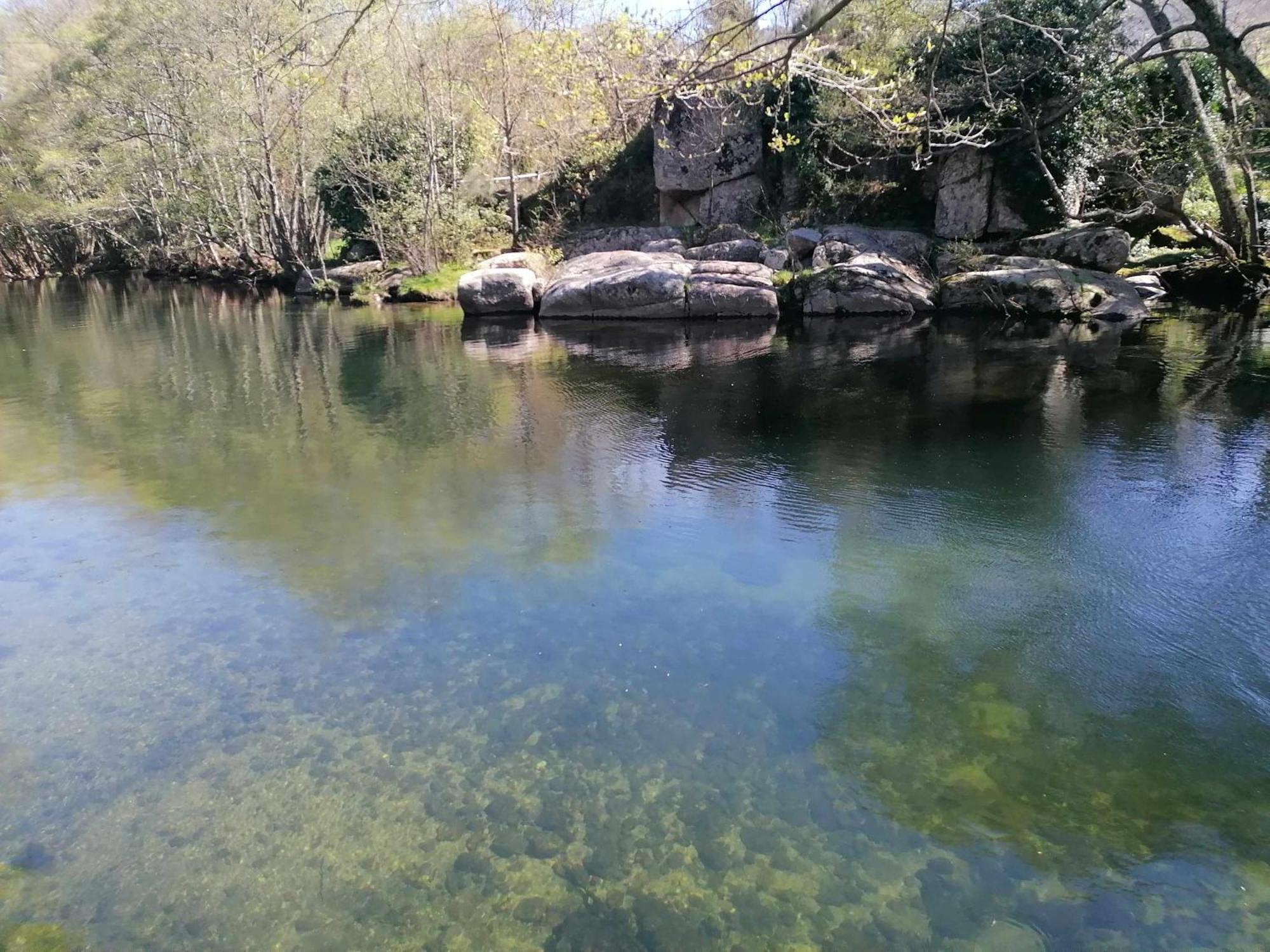 Quinta Do Moinho Turismo De Natureza Aldeia Vicosa Екстериор снимка